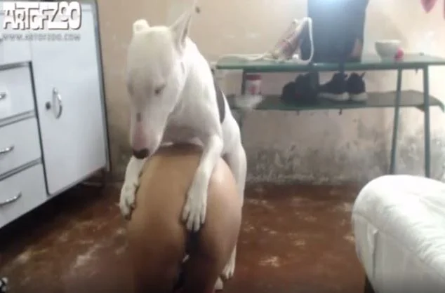 La bestia blanca muestra su destreza para follar con una MILF
