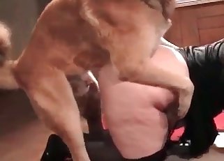 Amazing bestiality action with my lovely hound –