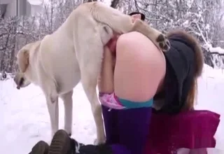 Hairy pussy amateur wants a dog creampie