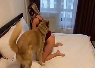 Cute hottie is having fun with a dog