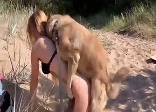 Outdoor seduction session with a really hot animal