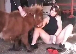 Porno Pony Perros - á‘•â¶á‘ Mujeres/perros XXX - PÃ¡gina 14 de 64 - ArtofZoo - Mujeres teniendo sexo  con animales