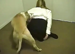 Sexy blonde and horny doggy have good fuck