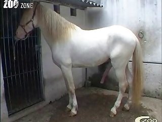 Still Functioning On Convincing His Better Half To Require The Horse Cock.