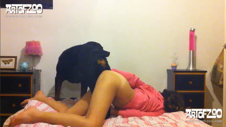 (IN HD) Cupcake – Puppydog_Tales.mp4