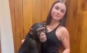 Apes Fucking Women - â–· Ape with woman,. WTF!!!