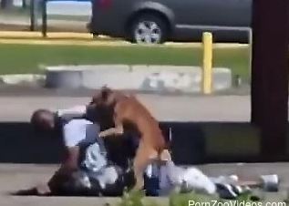Amateur man filmed in public getting fucked by a dog.mp4