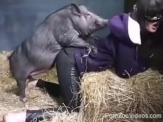 Chick in ripped pants enjoying hardcore sex with a pig.mp4