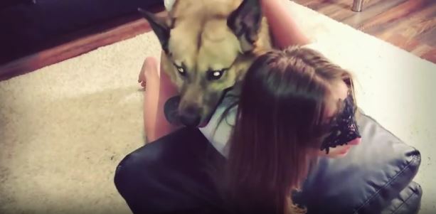 Energized cam slut gets fitted with dog dick in both holes.mp4