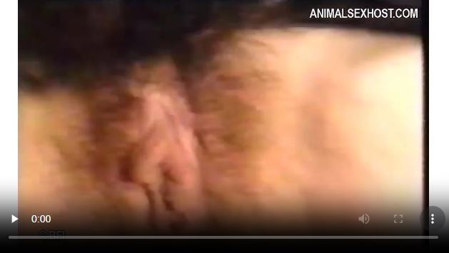 Amateur with hairy cunt gets naughty fucked by the dog.mp4