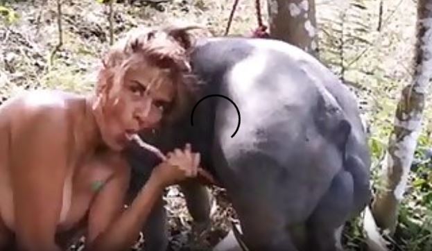 Attila Sex Fantazi Pig Girl Guck Boar Hd xxx xnxx3.mp4