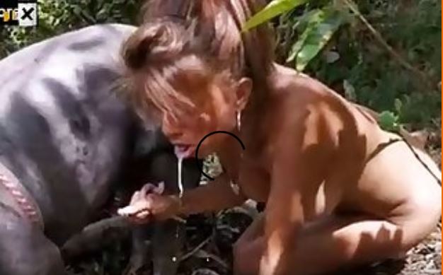 Attila Sex Fantazi Pig Girl Guck Boar Hd xxx xnxx5.mp4