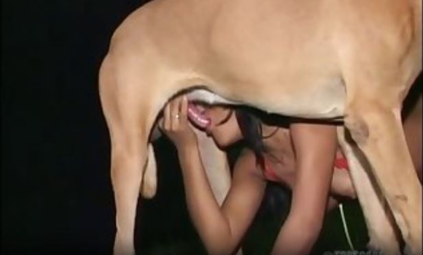 Brasileira.mp4