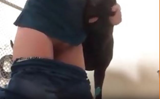 Color Of Dark Sapphire. Jan Was Struggling But Not To.mp4