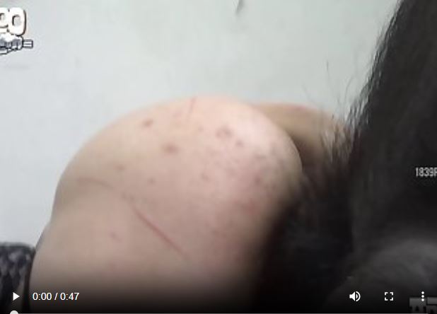 Devotehuendin Mr. Pig Stuff Encoded 010.mp4