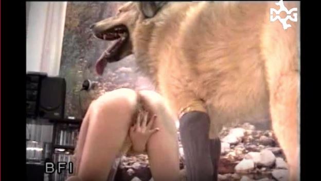 Dog.mp4