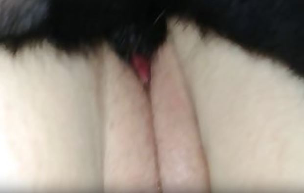 Free Pilorn Sex.mp4