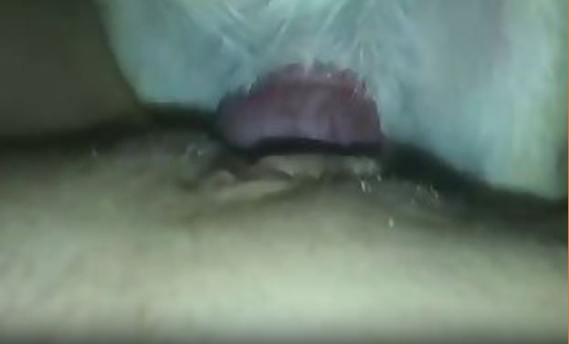 Full Movies Free Movies.mp4