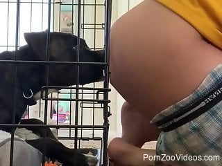 Horny man pulls down his pants to have his dog licking that ass