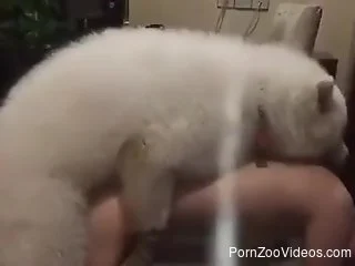 Horny puppy pounding that tight hole from behind.mp4