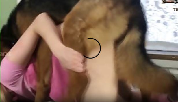 Japanese Sex.mp4