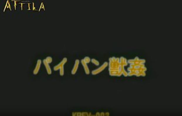 Krfv002 Clean 2.00x 1440×1088 Amq X265 001.mp4