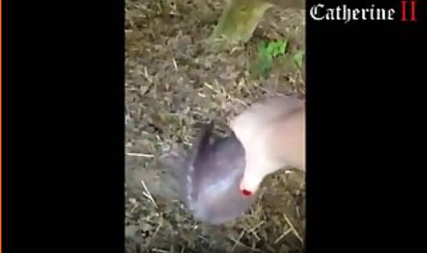 Mommy Needed This Just As Much As Poor Dog Did.mp4