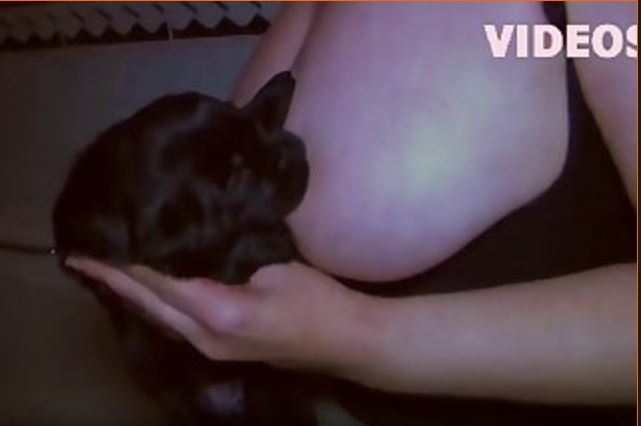 Porm You.mp4