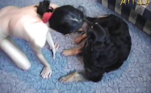 Prhon Hd.mp4