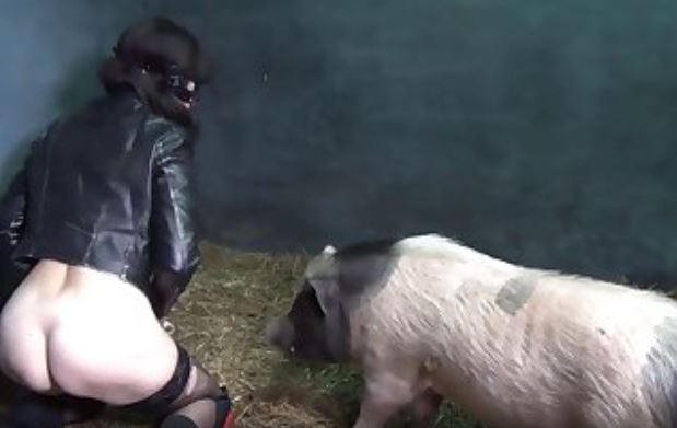Seamless Flow Yasmin Plug N Hay.mp4