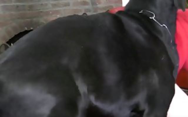 They Were Packed And On The Road.mp4
