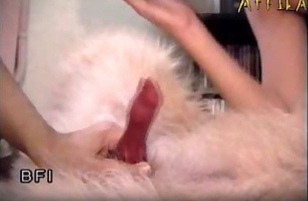 Unable To Close Her Eyes And Shut Out Any Of The Events.mp4
