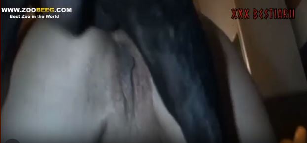 Watch Free Movies Watch Free Movies Porn.mp4