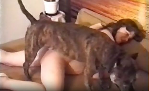 When She Made Love With A Chick. That Was Rather.mp4