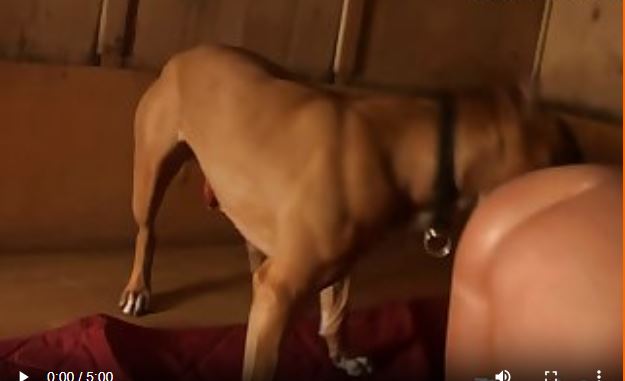 Yeah Yeah Sweet Jesus He Wailed As He Came.mp4