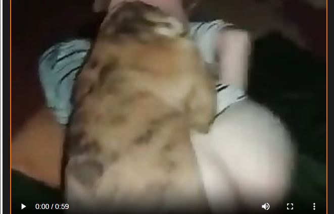 Zoo Porn Incest.mp4