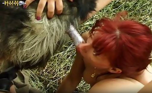 Zoo Pornanimal.mp4
