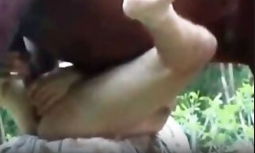Brown stallion showing no mercy.mp4