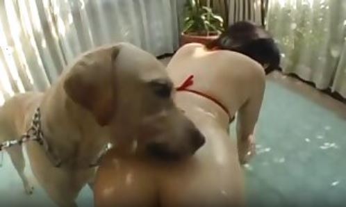 Busty asian girl in sexy lingerie adores hardcore penetration.mp4