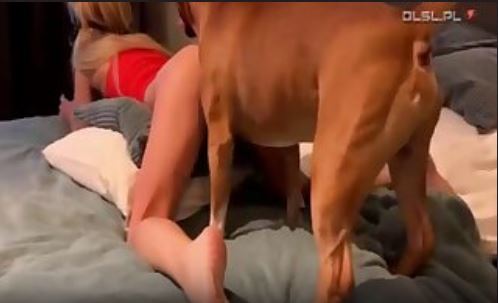 Chubby girlfriend likes dong-riding with her pooch.mp4
