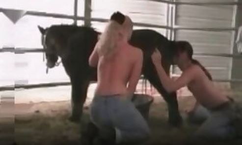 Farm animals fuck this chick.mp4