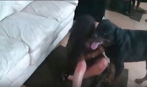 Impressive dog fucking video here.mp4