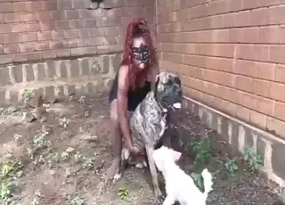 Aggressive Dog Gets Hard Fuck as Therapy