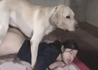 Big Dog Fucks Asian Babe in HD Zoo Sex Tube animal sex Clip