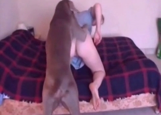 British hunter fucking its owner