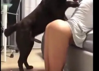 Brunette Zoophile Gets Hardcore Animal Sex and Cums.mp4