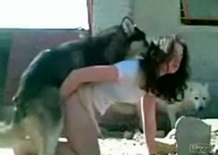 Brunette has two dogs to fuck