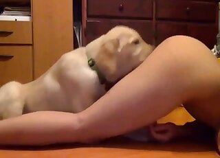 Cute chick enjoys licking her dog’s cock and takes a ride on it