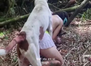 Dog Fuck Compilation Featuring Gaping Holes