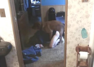 Dog Gets a Blowjob and Fuck from His Owner